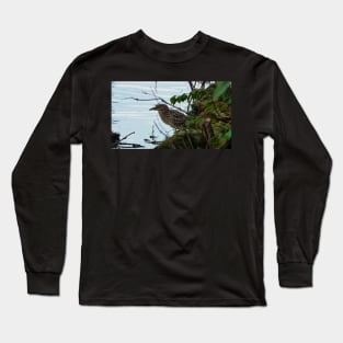 Juvenile Black-crowned Night-Heron Long Sleeve T-Shirt